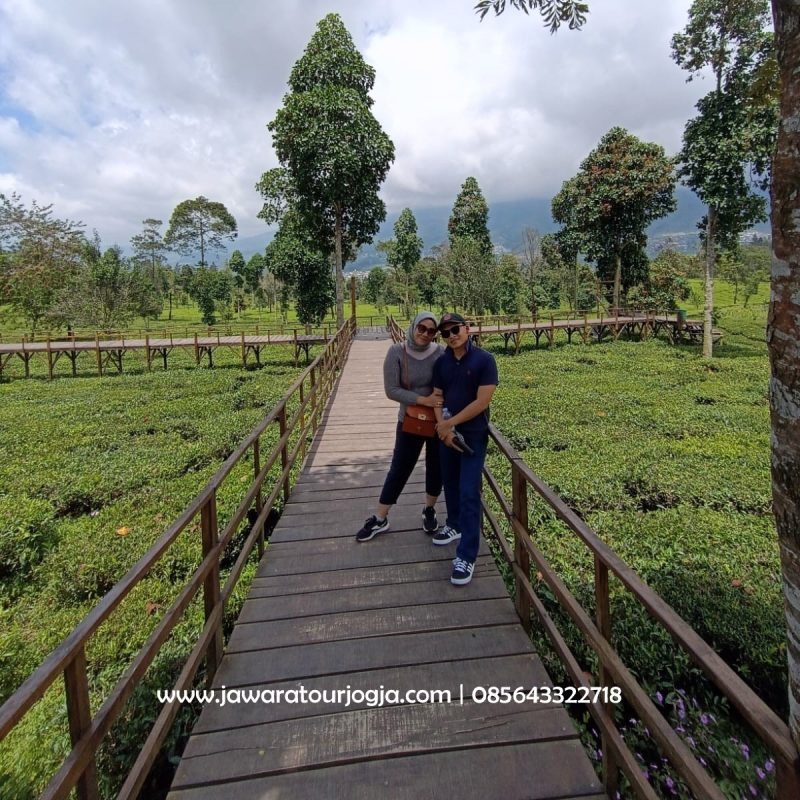 Paket Wisata Jogja Recommended