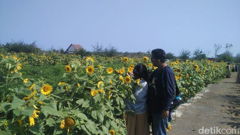 Paket Wisata Jogja Recommended