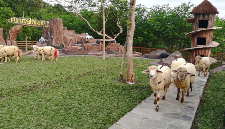 Paket Wisata Jogja Recommended