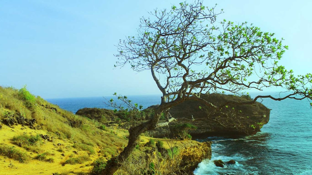 Paket Wisata Jogja Recommended