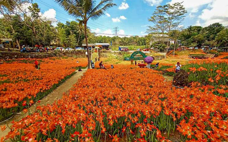 Paket Wisata Jogja Recommended