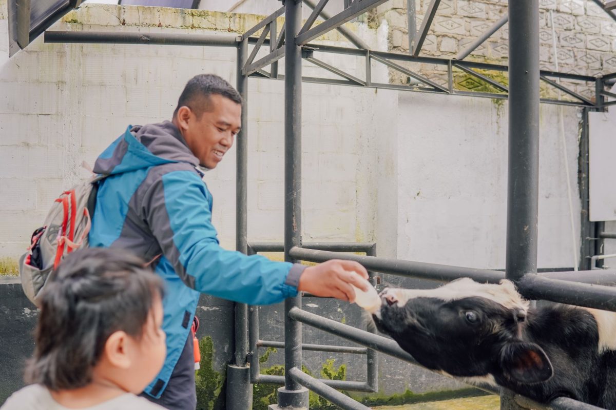 Paket Wisata Jogja Recommended